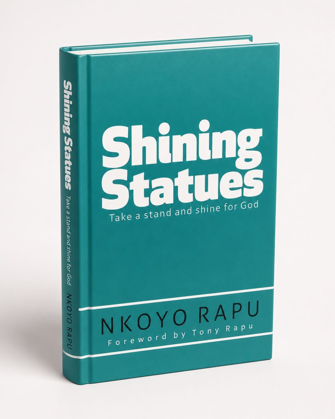 Shining Statues: Take a Stand and Shine for God! cover